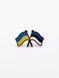 "Ukraine-Estonia" pin