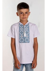 Вишита футболка для хлопчика (6021), 104