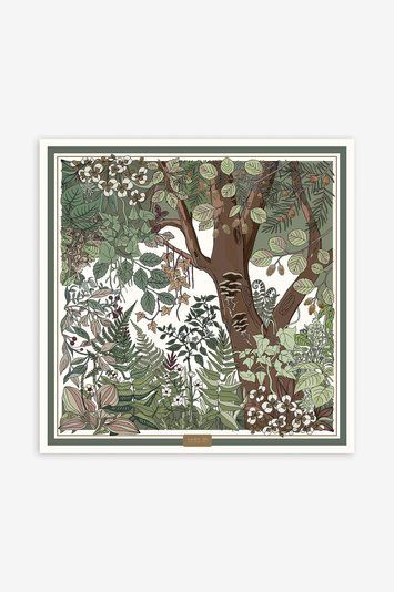 Scarf &ldquo;Primeval Forest&rdquo;