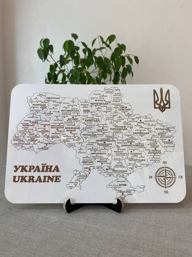 Пазли дерев'яні "Карта України", білі
