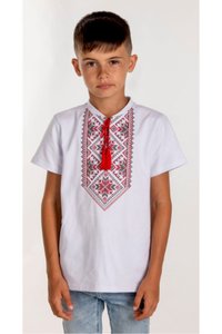 Boys' Embroidered T-Shirt with Red Ornament, 110