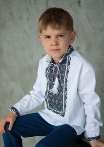 Вишиванка для хлопчика з коричнево-блакитною вишивкою , 134