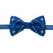 Blue Embroidered Bowtie