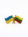 "Ukraine&ndash;Lithuania" pin